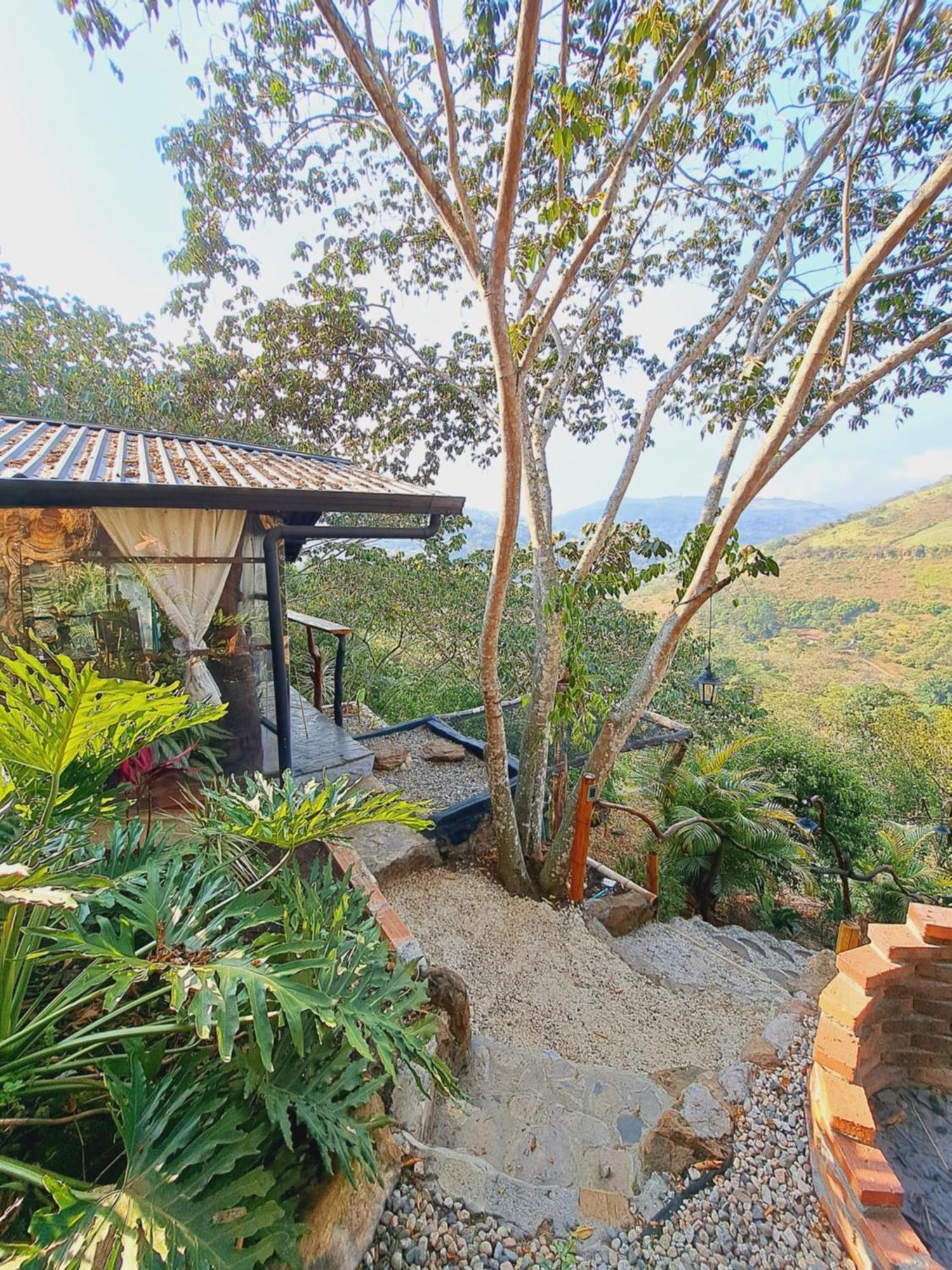 The Luxury Glamping Star *